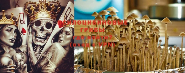 прущая мука Алзамай