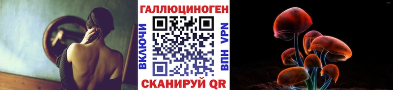 OMG ССЫЛКА  Полевской  Псилоцибиновые грибы мицелий 